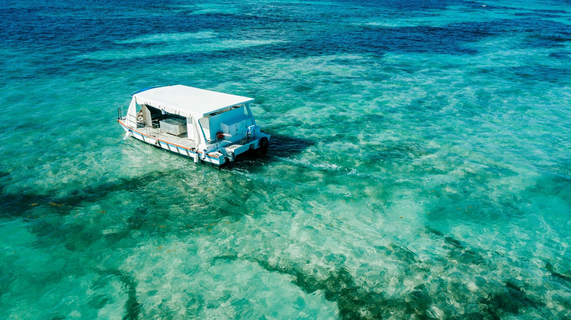 Sharky Catamaran Private Tour