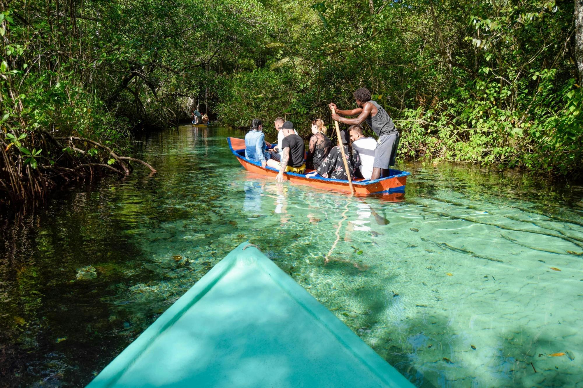 Samana Cayo Levantado and Playa Rincon