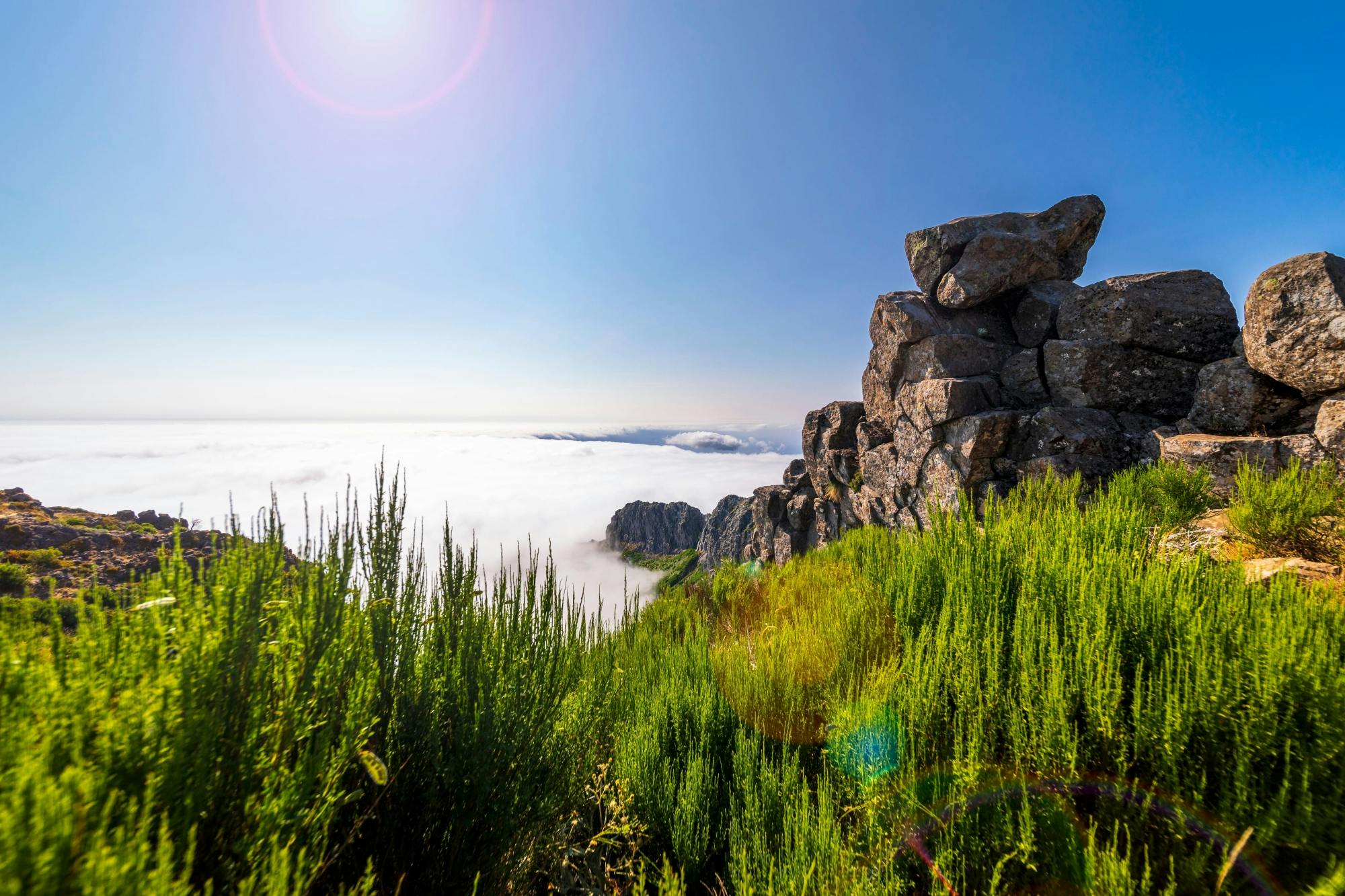 Deluxe Eastern Madeira Tour with Local Lunch and Levada Walk