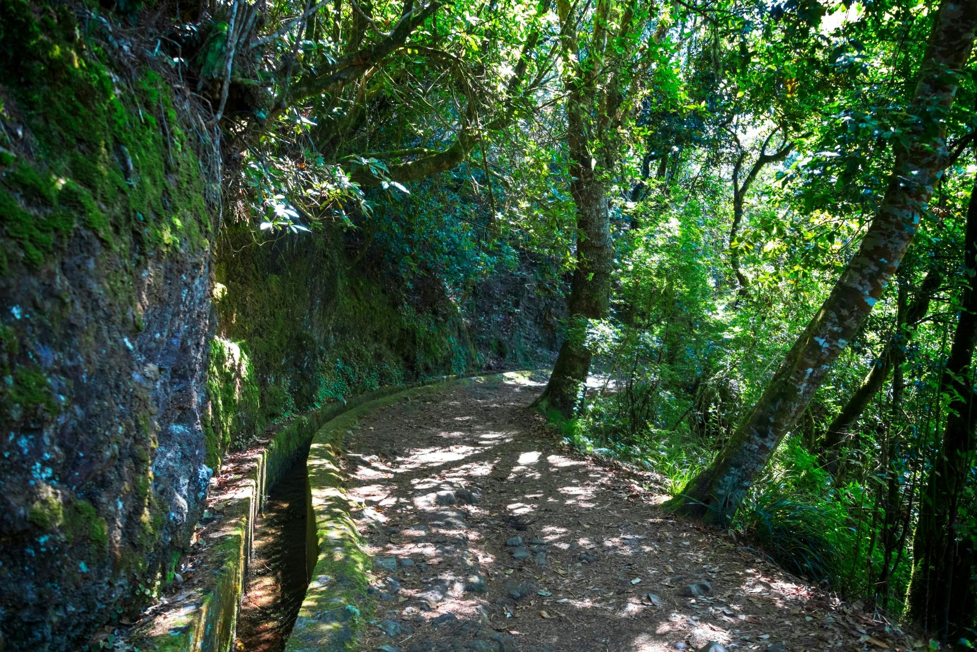 Deluxe Eastern Madeira Tour with Local Lunch and Levada Walk