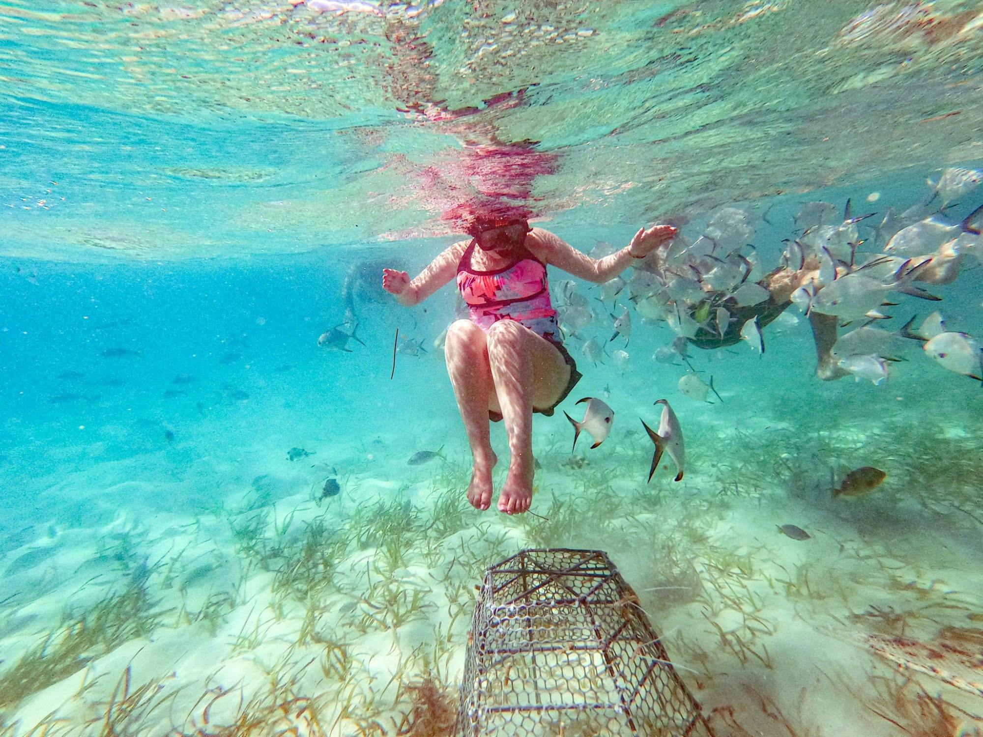 Family Snorkel Adventure on Sharky Catamaran