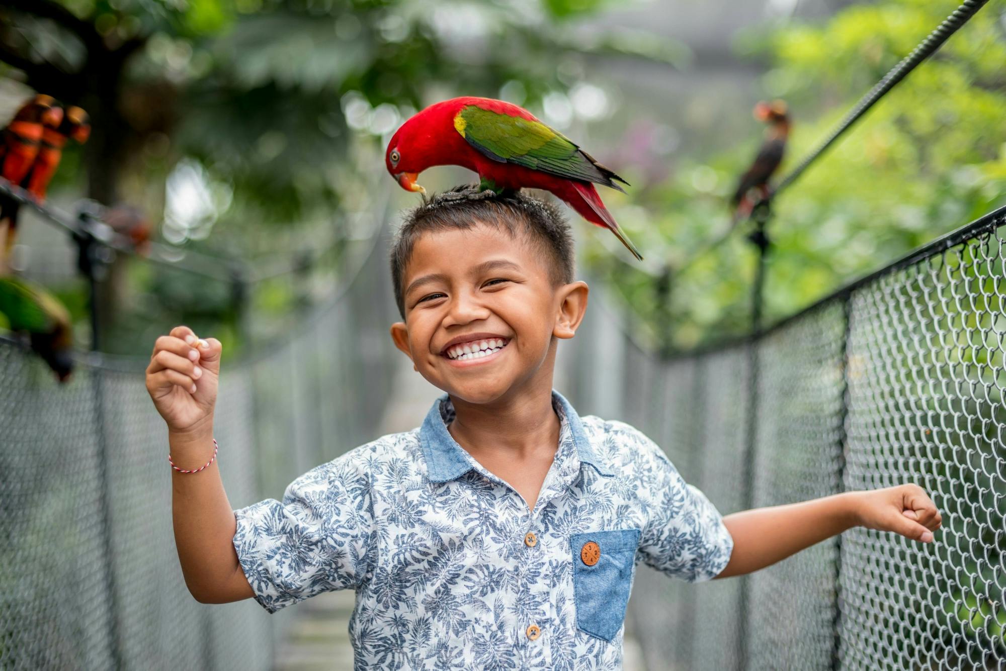 Bali Bird Park entry ticket