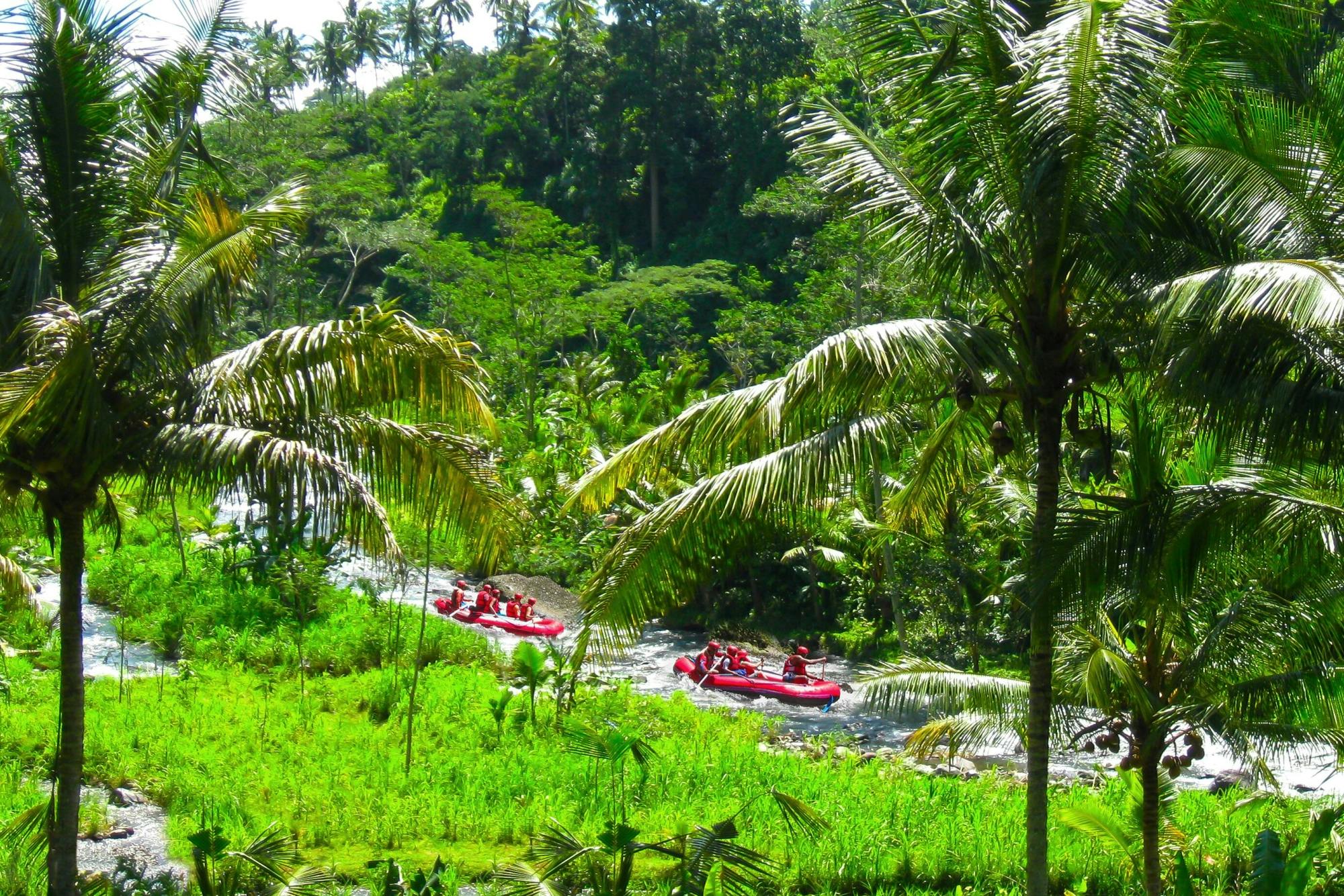 Ayung White Water Rafting Experience