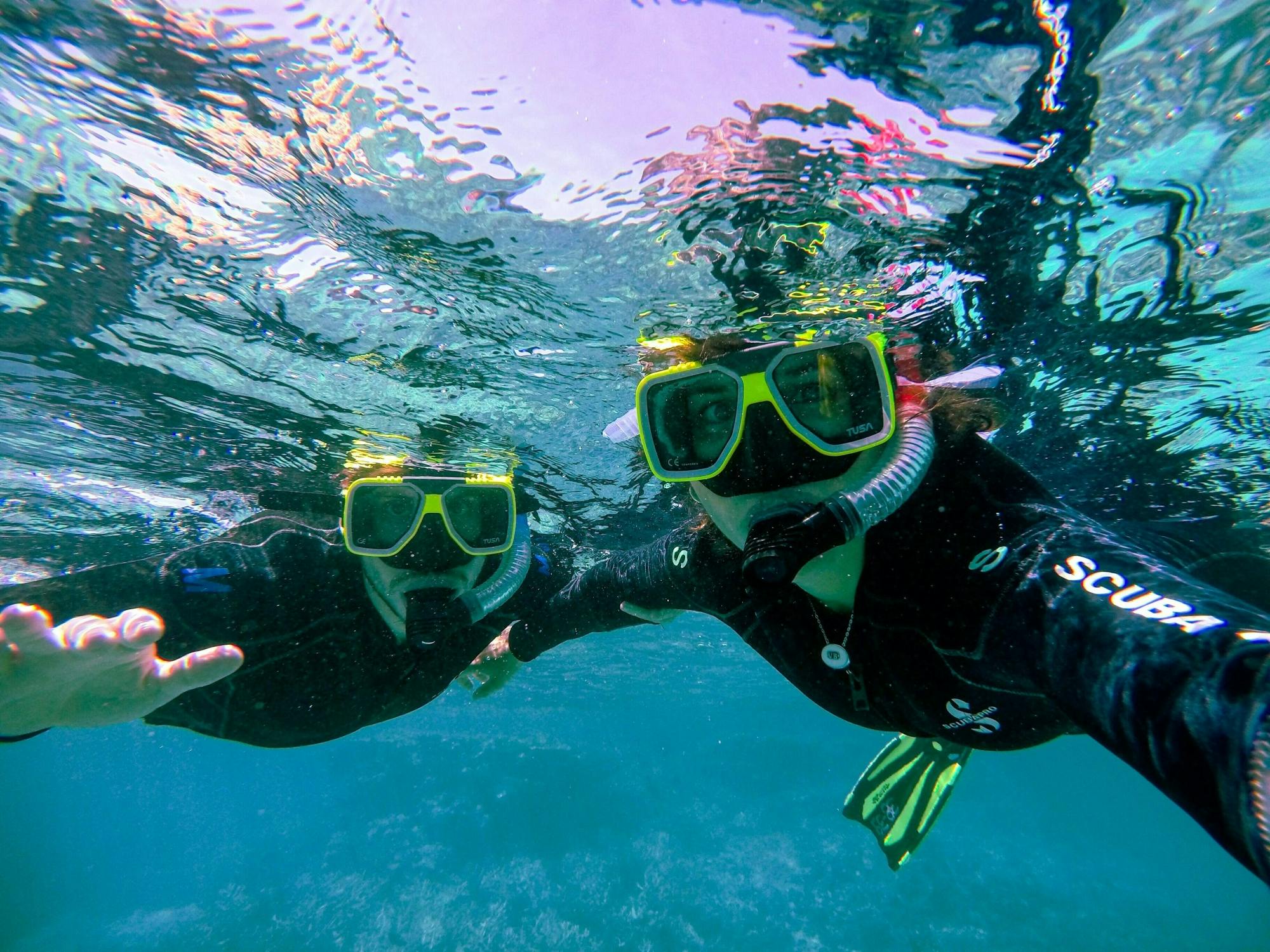 Snorkeling a Tulamben o Amed 2 immersioni con Blue Season