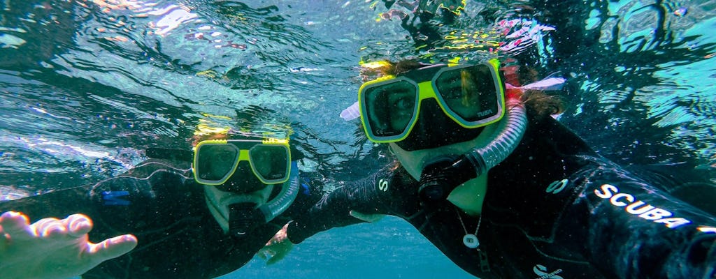 Snorkeling a Tulamben o Amed 2 immersioni con Blue Season
