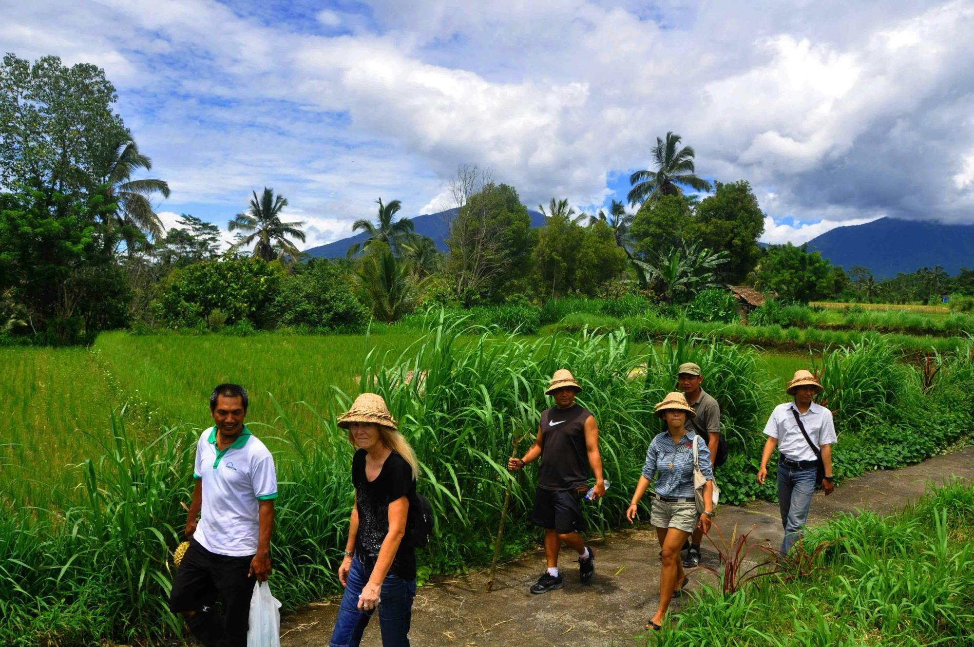 Bali Culture & Traditions Tour