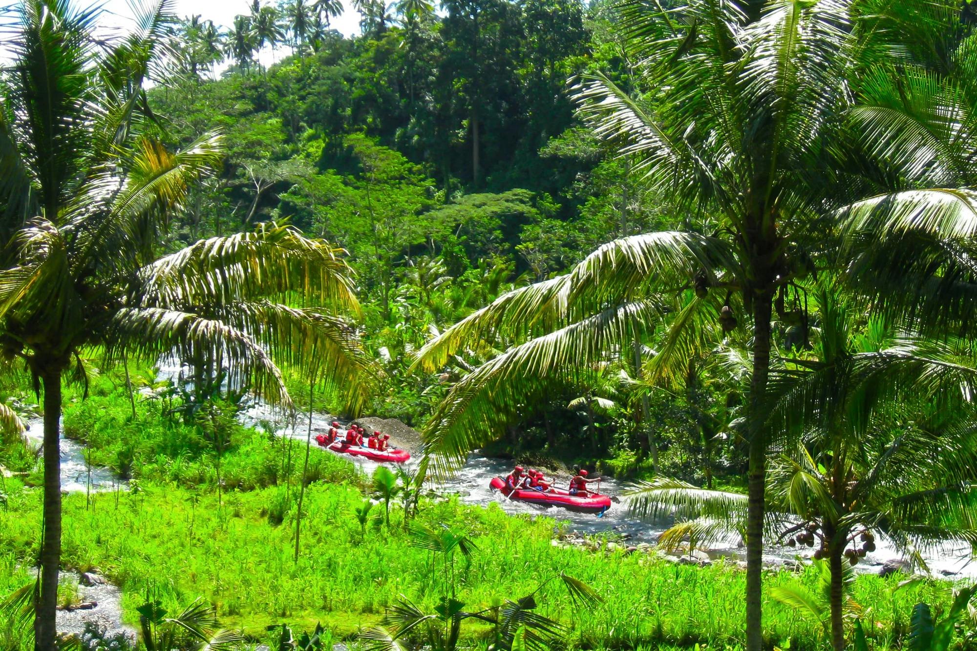 Ayung White Water Rafting Experience