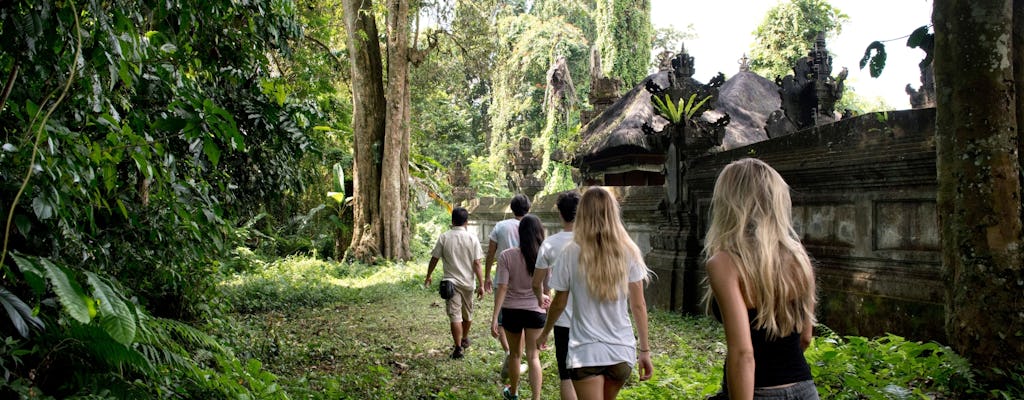 Tropical Hike to Taro with Lunch
