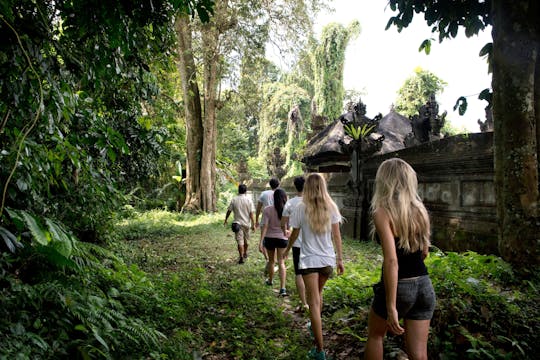 Caminhada tropical até Taro com almoço