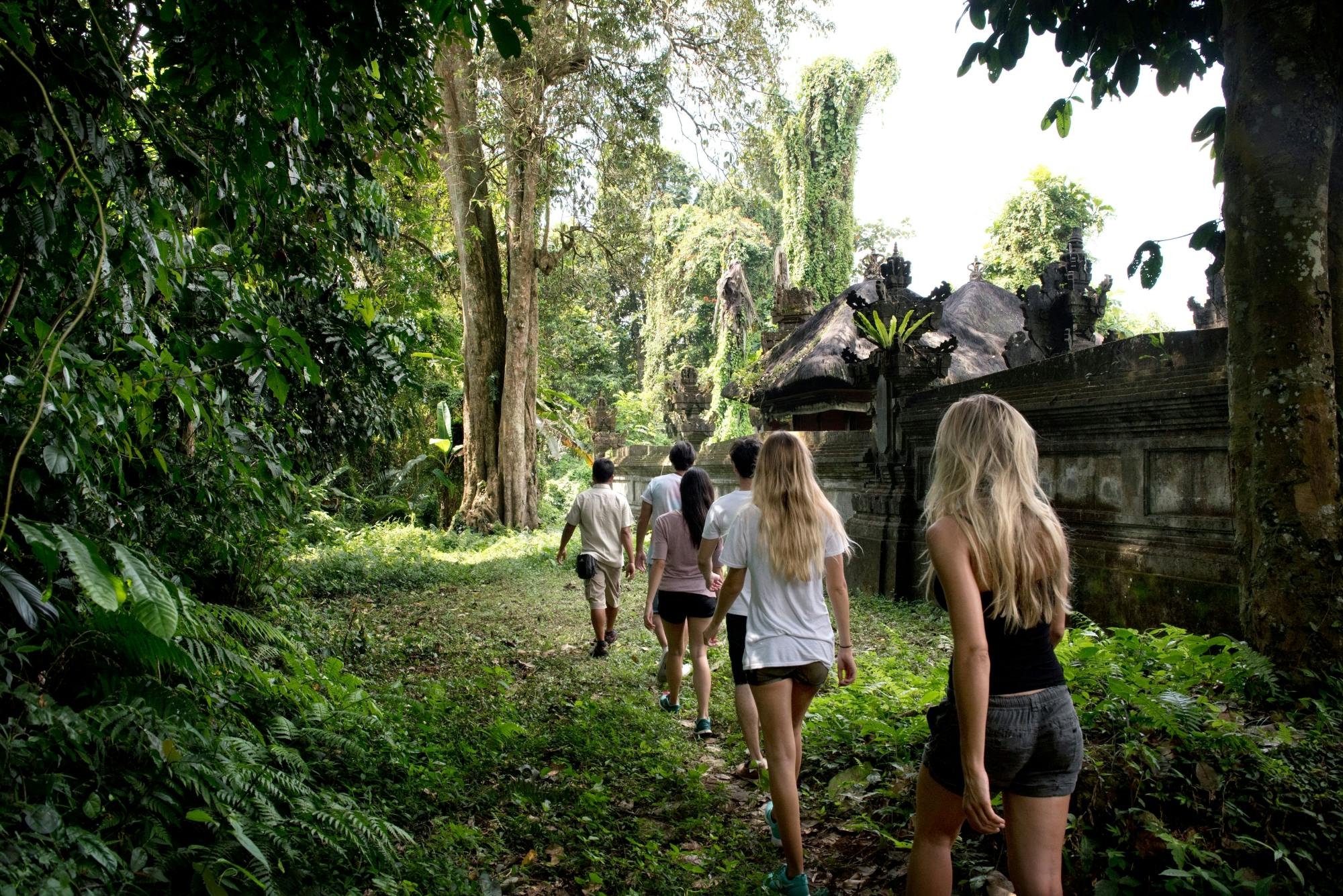 Randonnée tropicale à Taro avec déjeuner