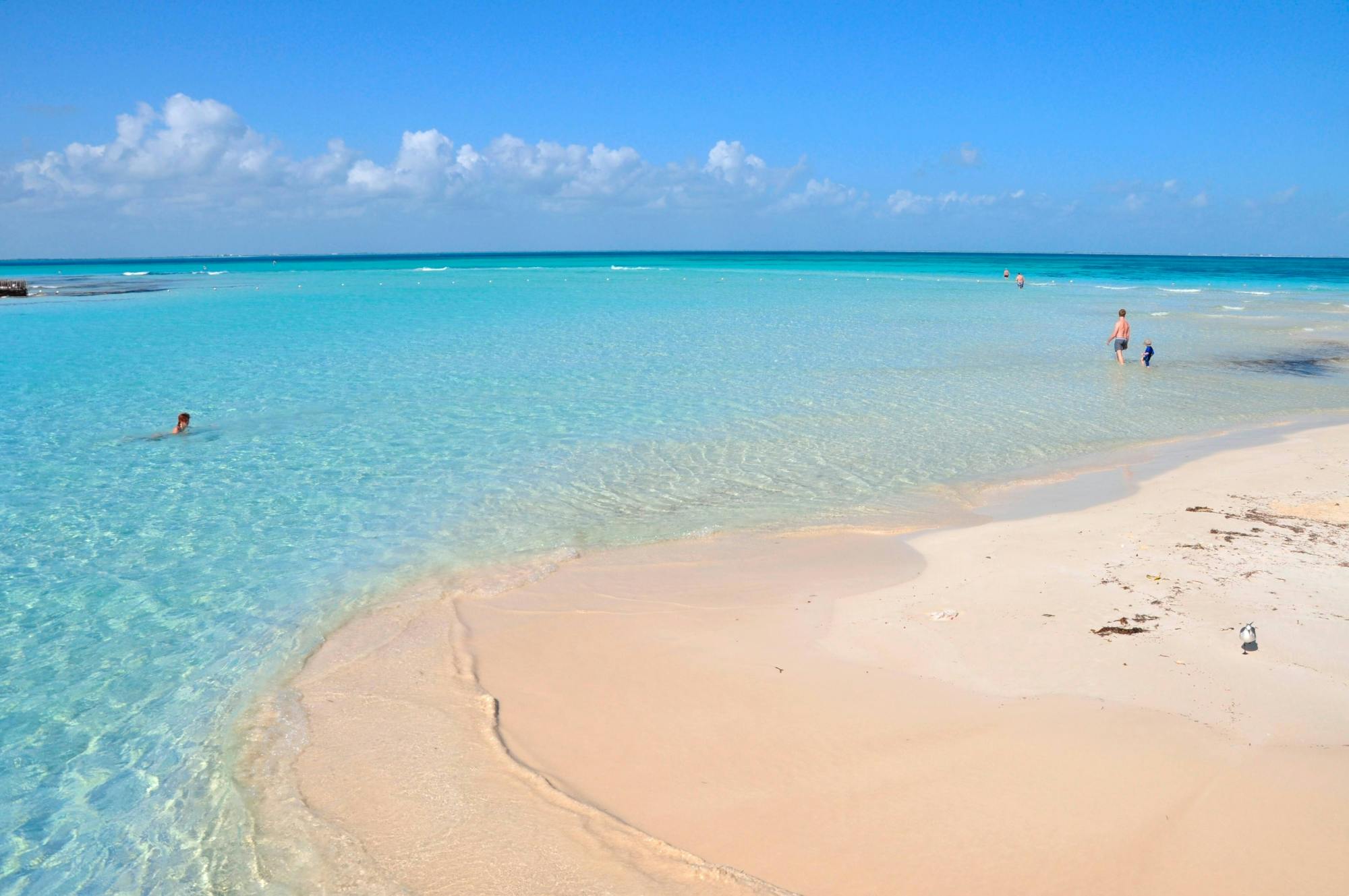 Isla Mujeres Reef Snorkelling Ticket at Albatros Beach Club