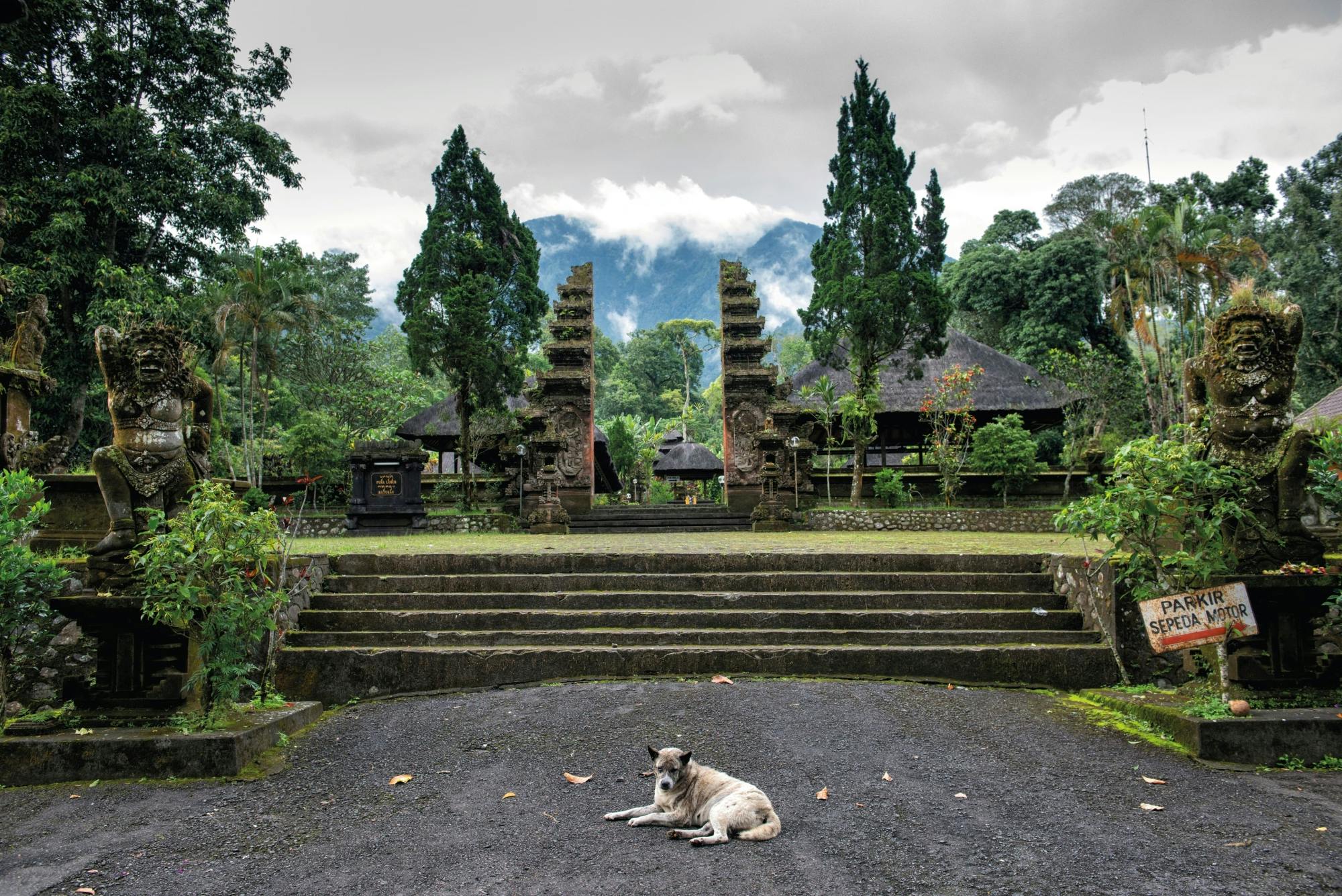 Bali Temples Trail and Rice Terraces Private Full Day Tour