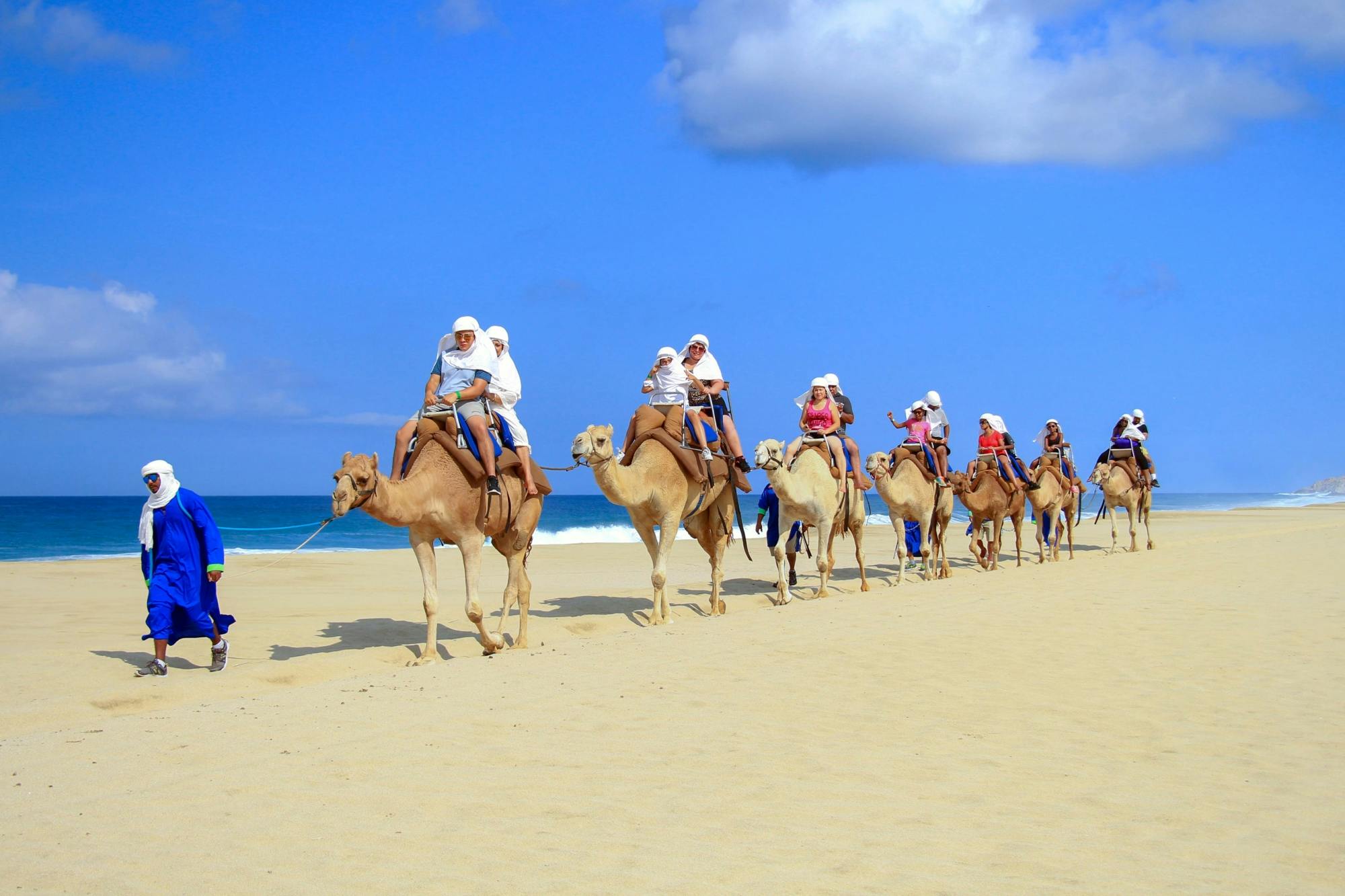 Baja Desert Trek and Camel Tour