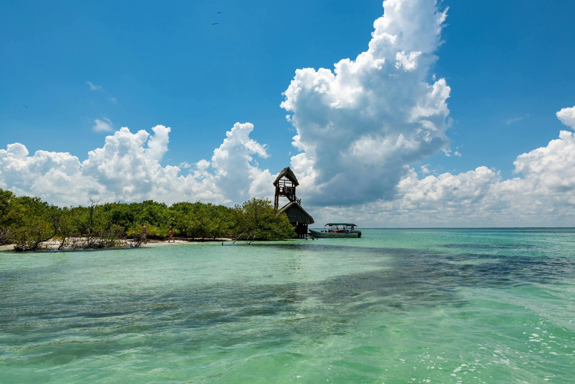 Full-day guided boat tour to Holbox and Passion Islands