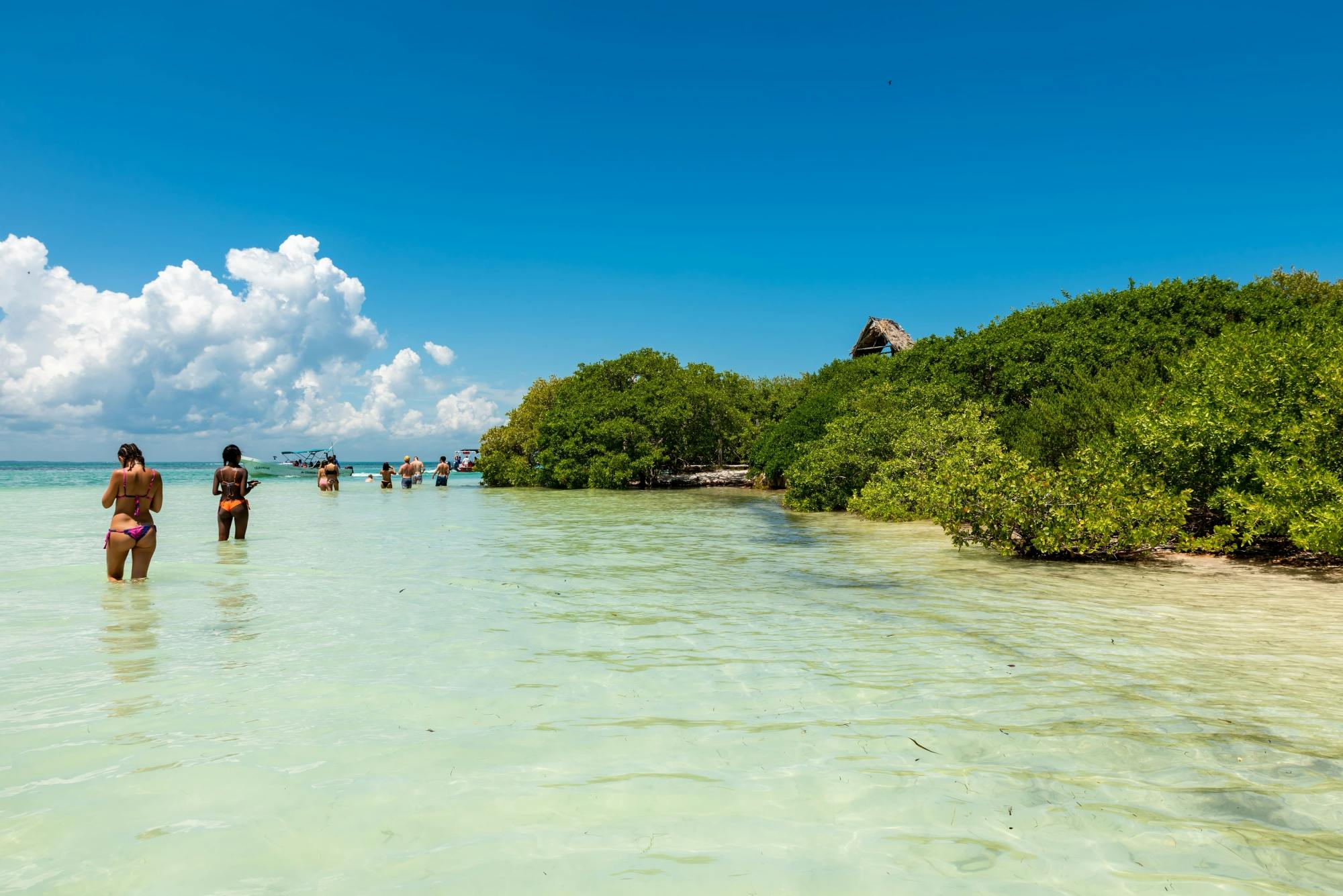 Full-day guided boat tour to Holbox and Passion Islands