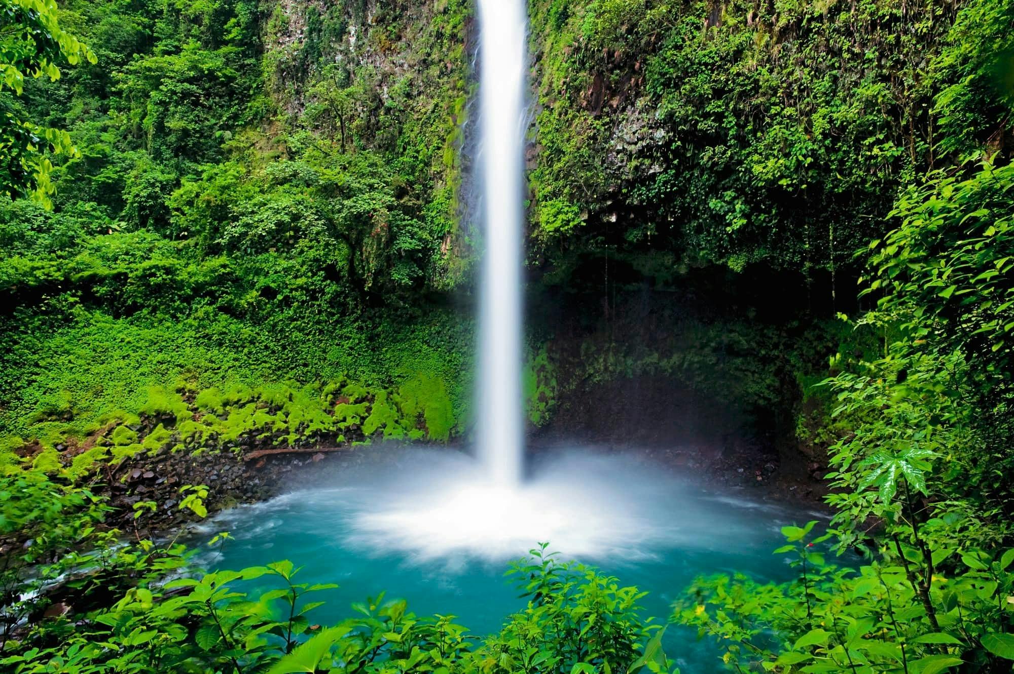 Tenorio Volcano National Park Hiking Tour with Sloth Encounter