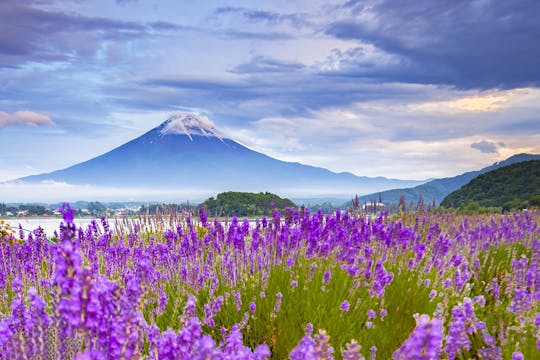 Escursione di 1 giorno al monte Fuji, al lago Kawaguchi, a Oshino Hakkai e al Matcha giapponese