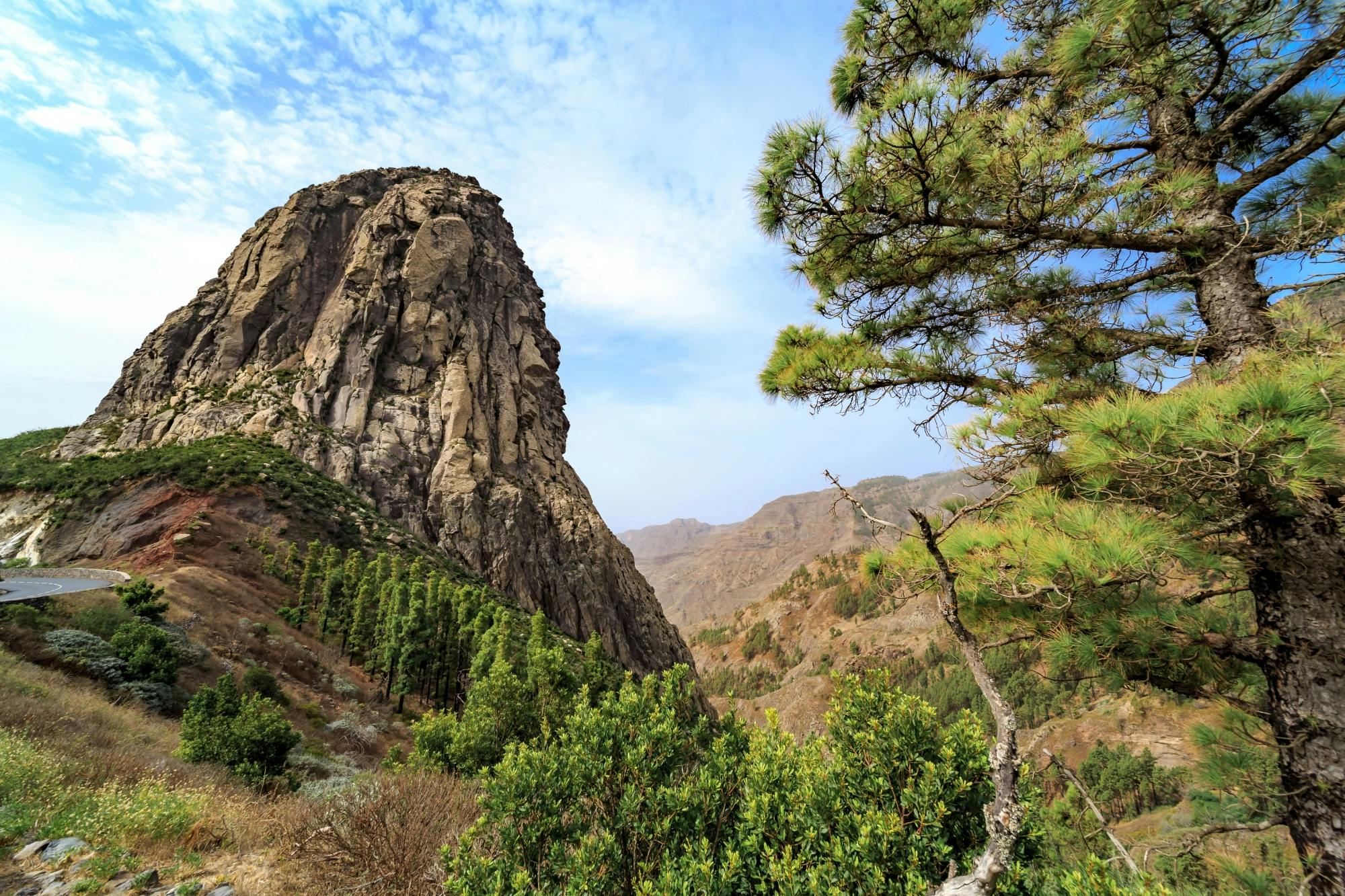 La Gomera rundtur med Garajonay-skoven og San Sebastian