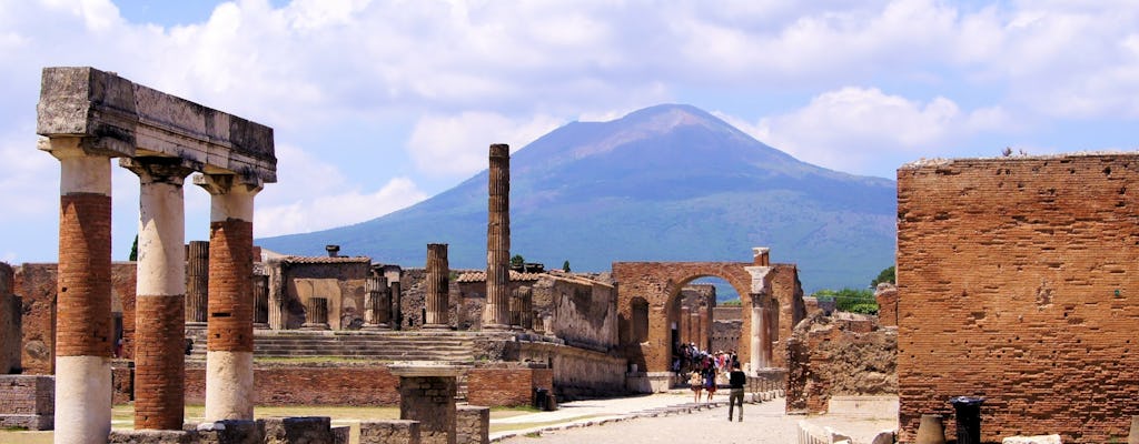 Full-Day Guided Tour of Pompeii from Rome with Lunch
