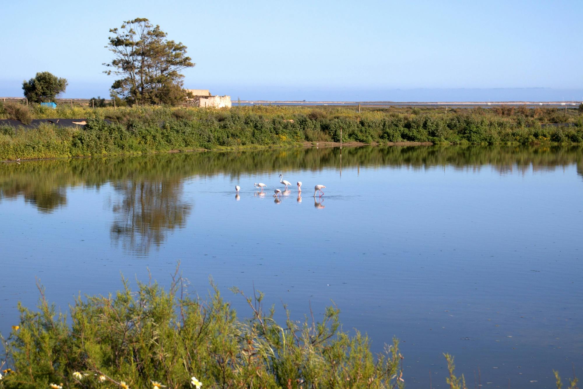 Exclusive Ria Formosa by 4x4 and Boat