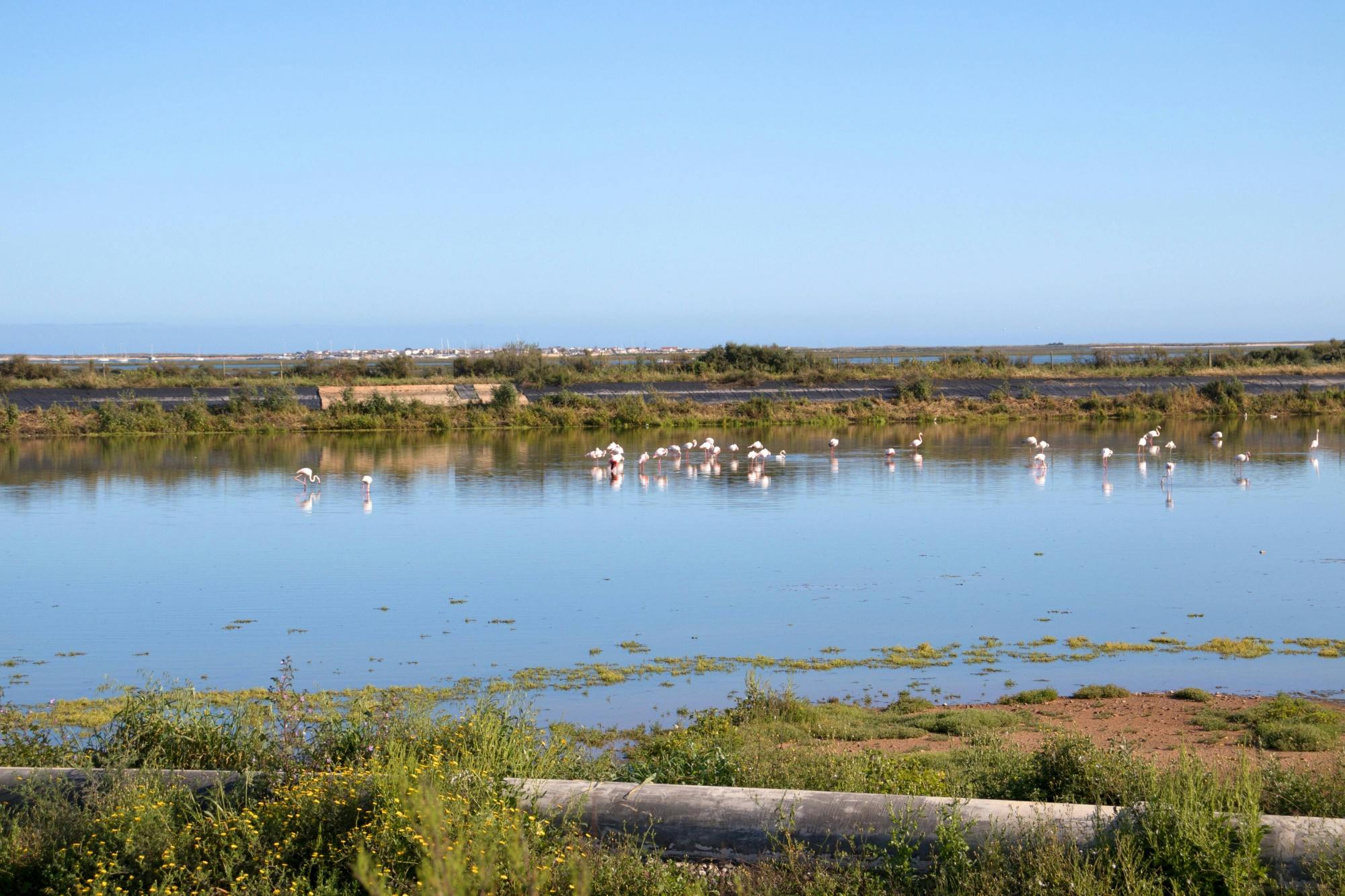 Exclusive Ria Formosa by 4x4 and Boat