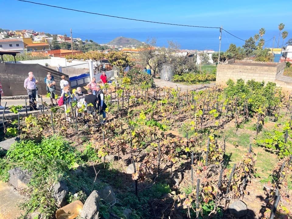 Tenerife Gastro Wine North