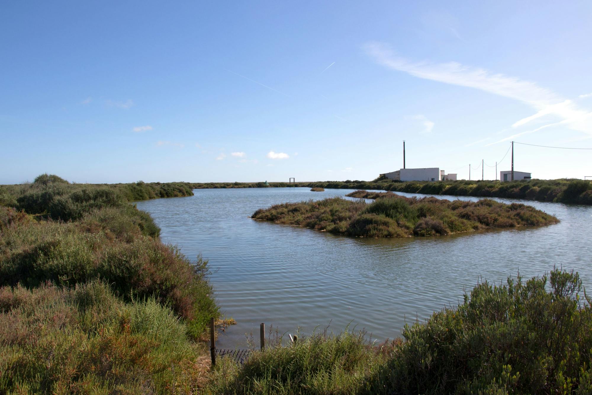 Exclusive Ria Formosa by 4x4 and Boat