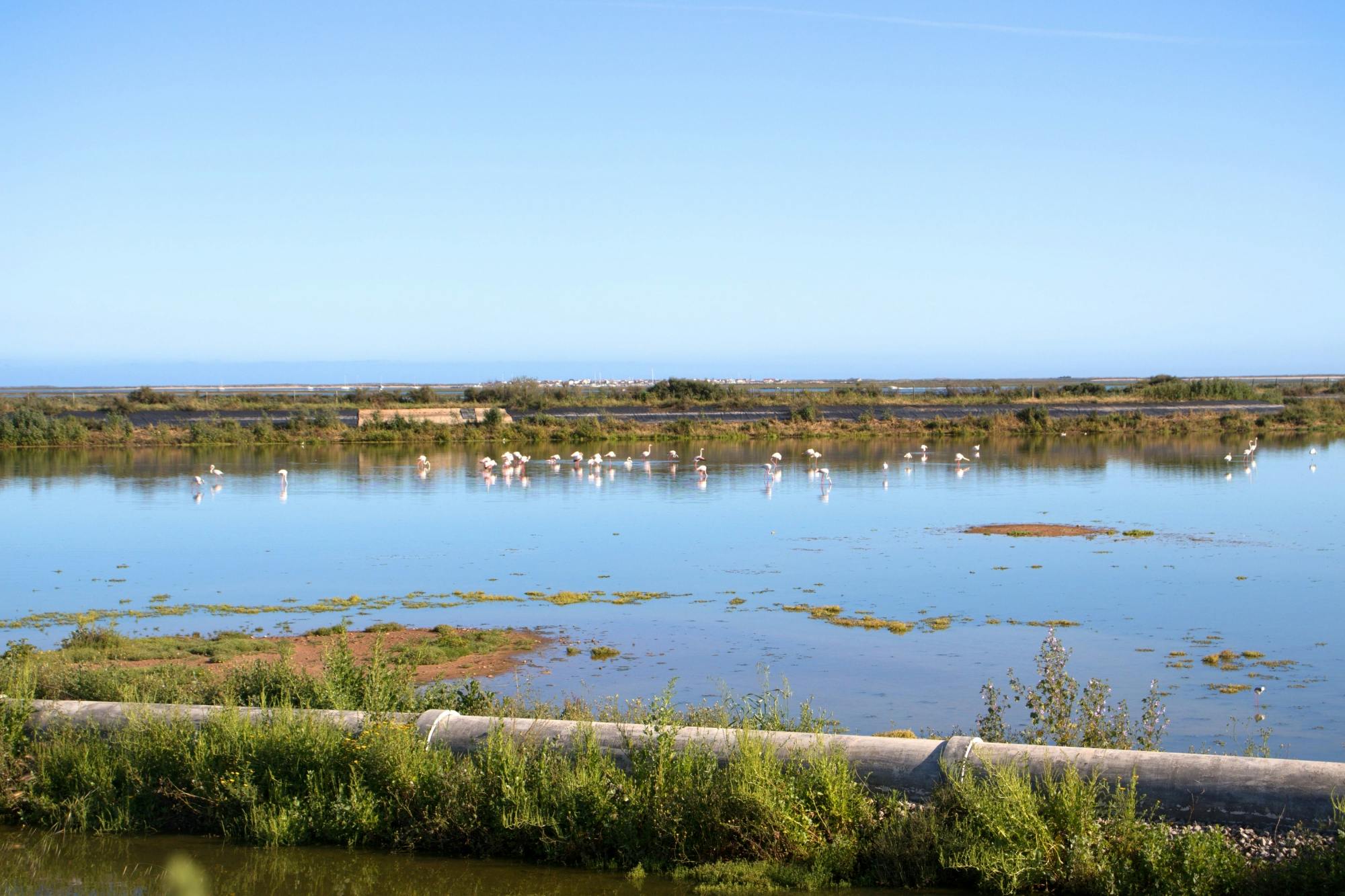 Exclusive Ria Formosa by 4x4 and Boat