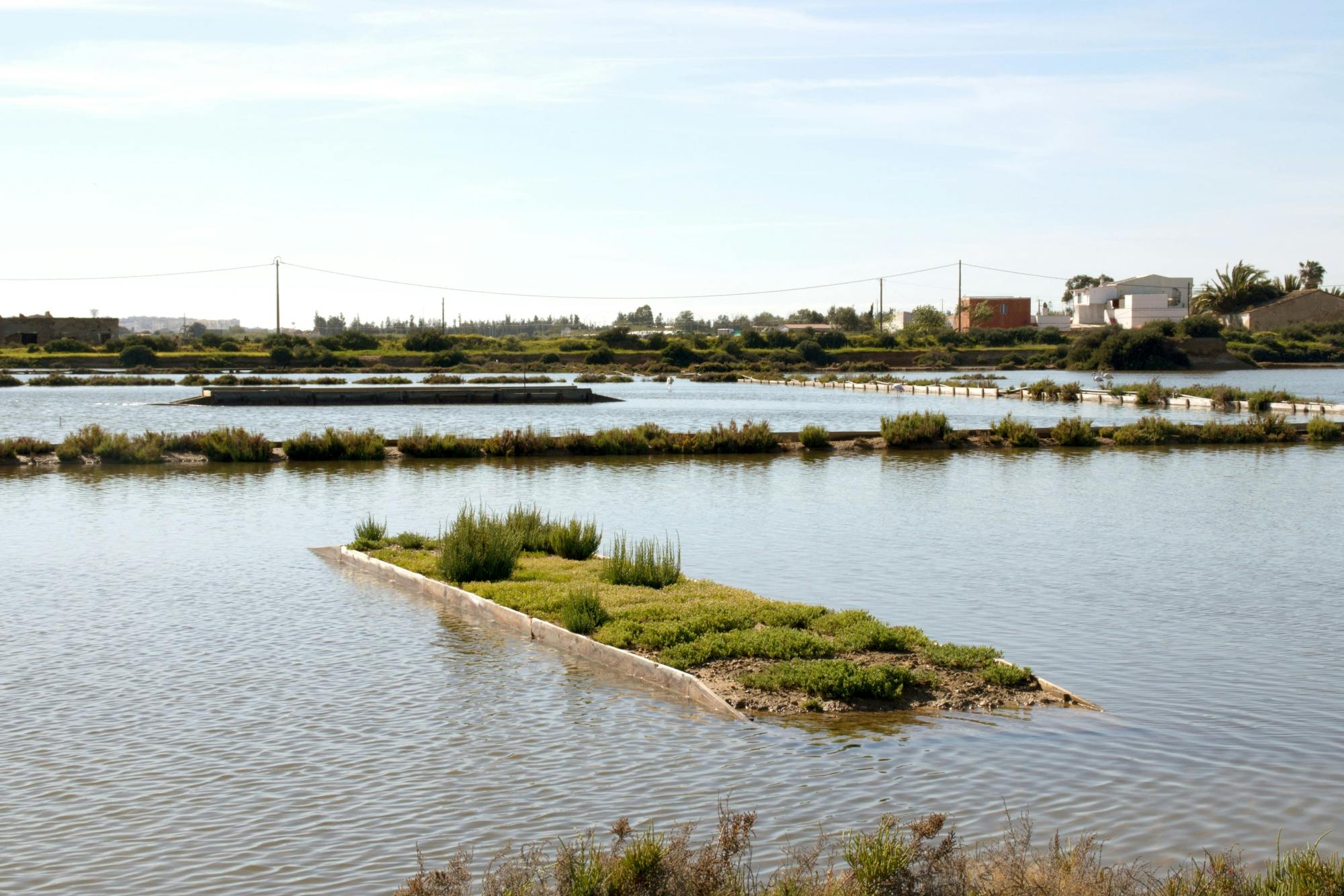 Exclusive Ria Formosa by 4x4 and Boat