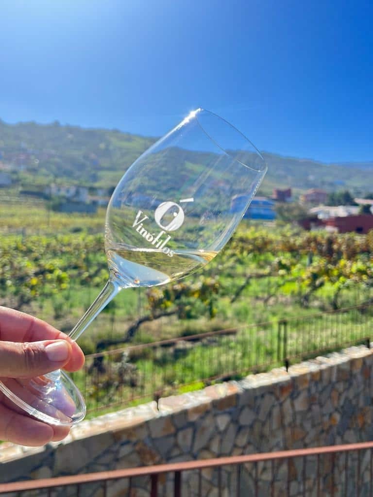 Lokal udflugt med gastronomi og vin i det nordlige Tenerife