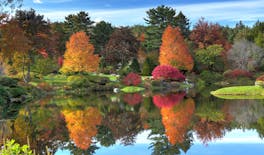 Bar Harbor Self-Guided Historic walking tour