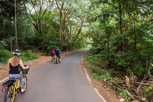 Goa E-bike Tour of Divar Island with High Tea