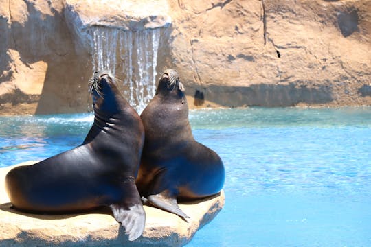 Toegangskaarten voor Selwo Marina Benalmádena Park