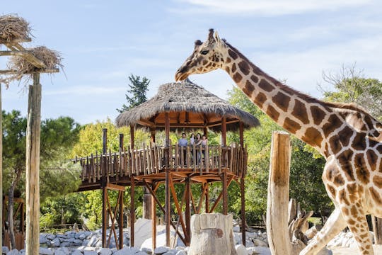 Billets coupe-file pour le Zoo Aquarium de Madrid