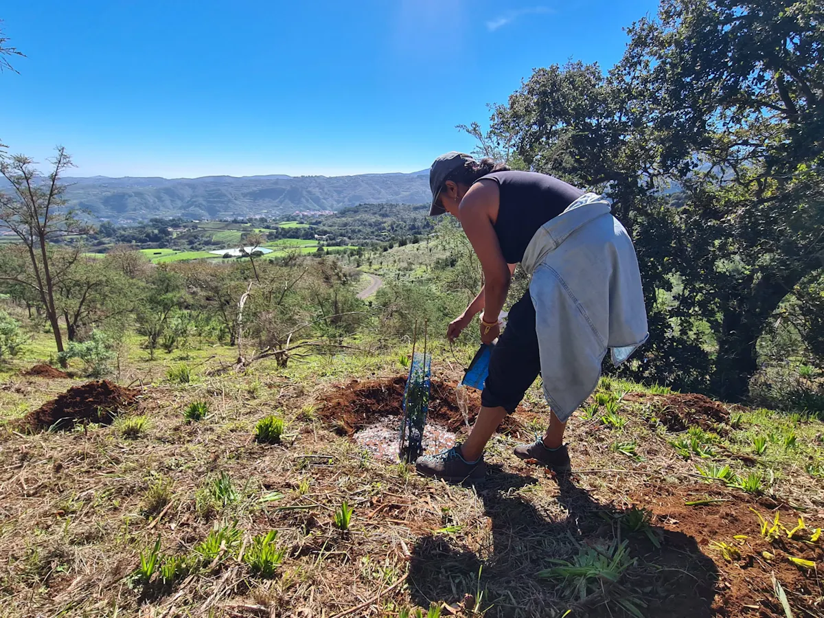 Gran Canaria Eco Tour with TUI Forest Visit and Lunch