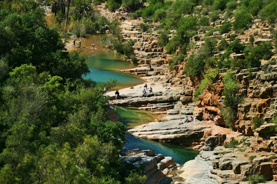 Half-Day Adventure to Paradise Valley from Agadir or Taghazout