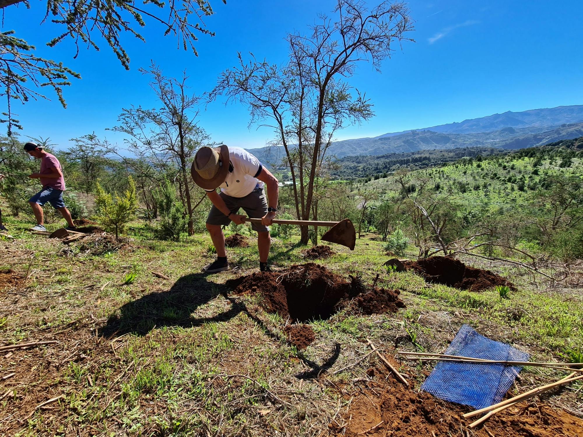 Gran Canaria Eco Tour with TUI Forest Visit and Lunch