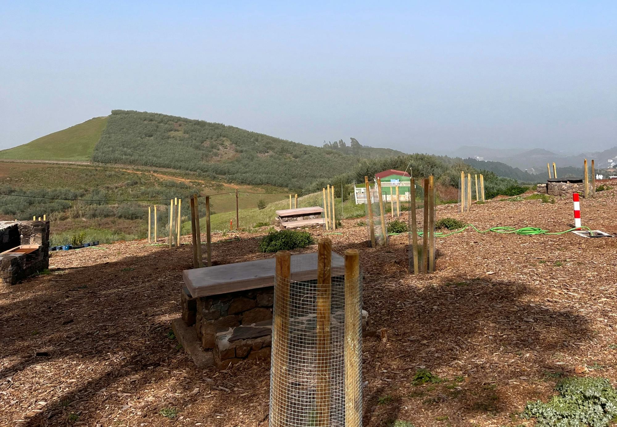 Gran Canaria Eco Tour with TUI Forest Visit and Lunch