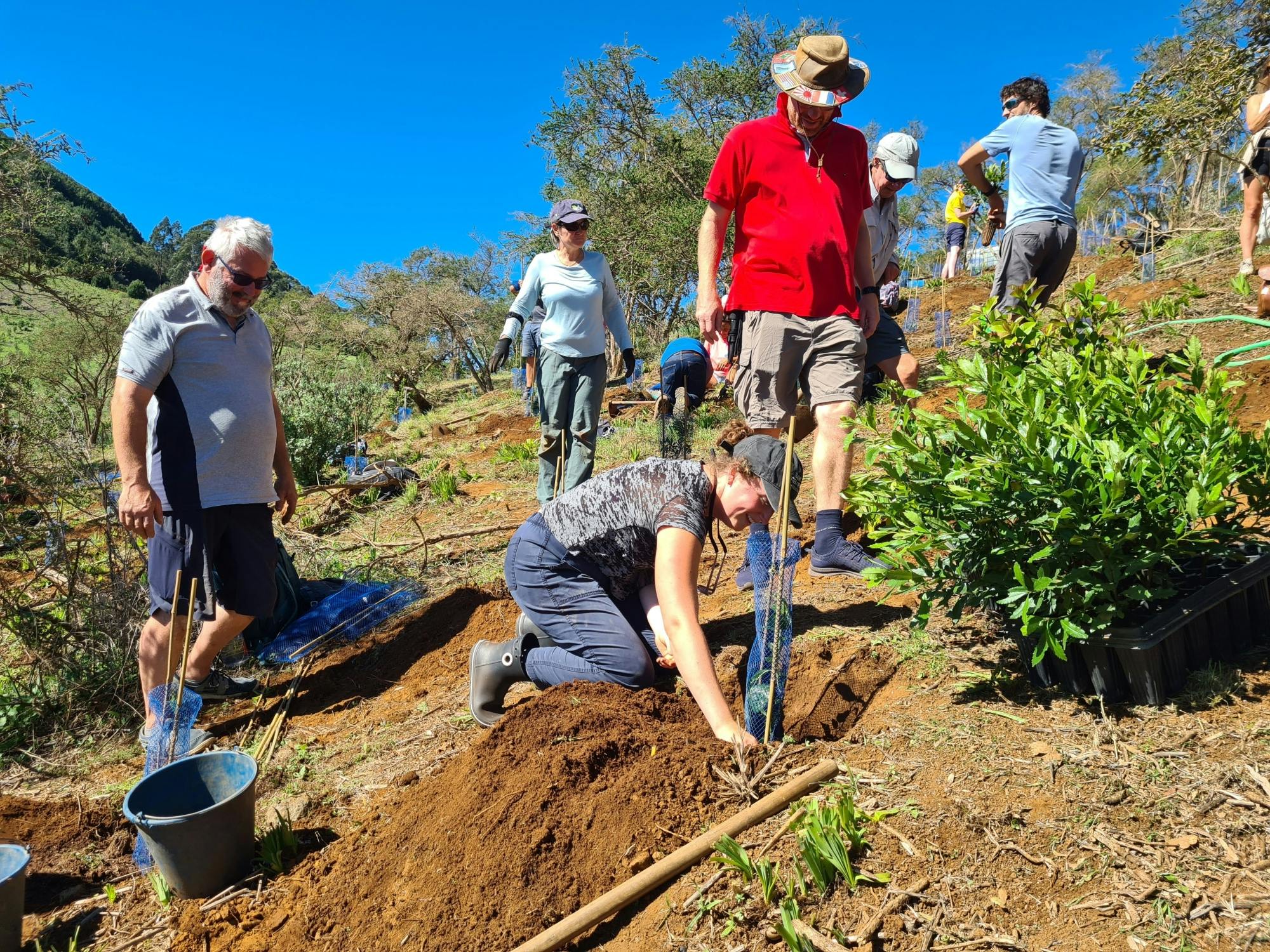 Gran Canaria Eco Tour with TUI Forest Visit and Lunch