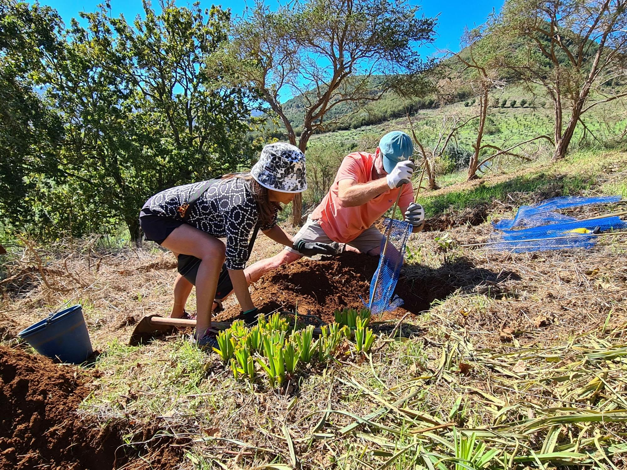 Gran Canaria Eco Tour with TUI Forest Visit and Lunch