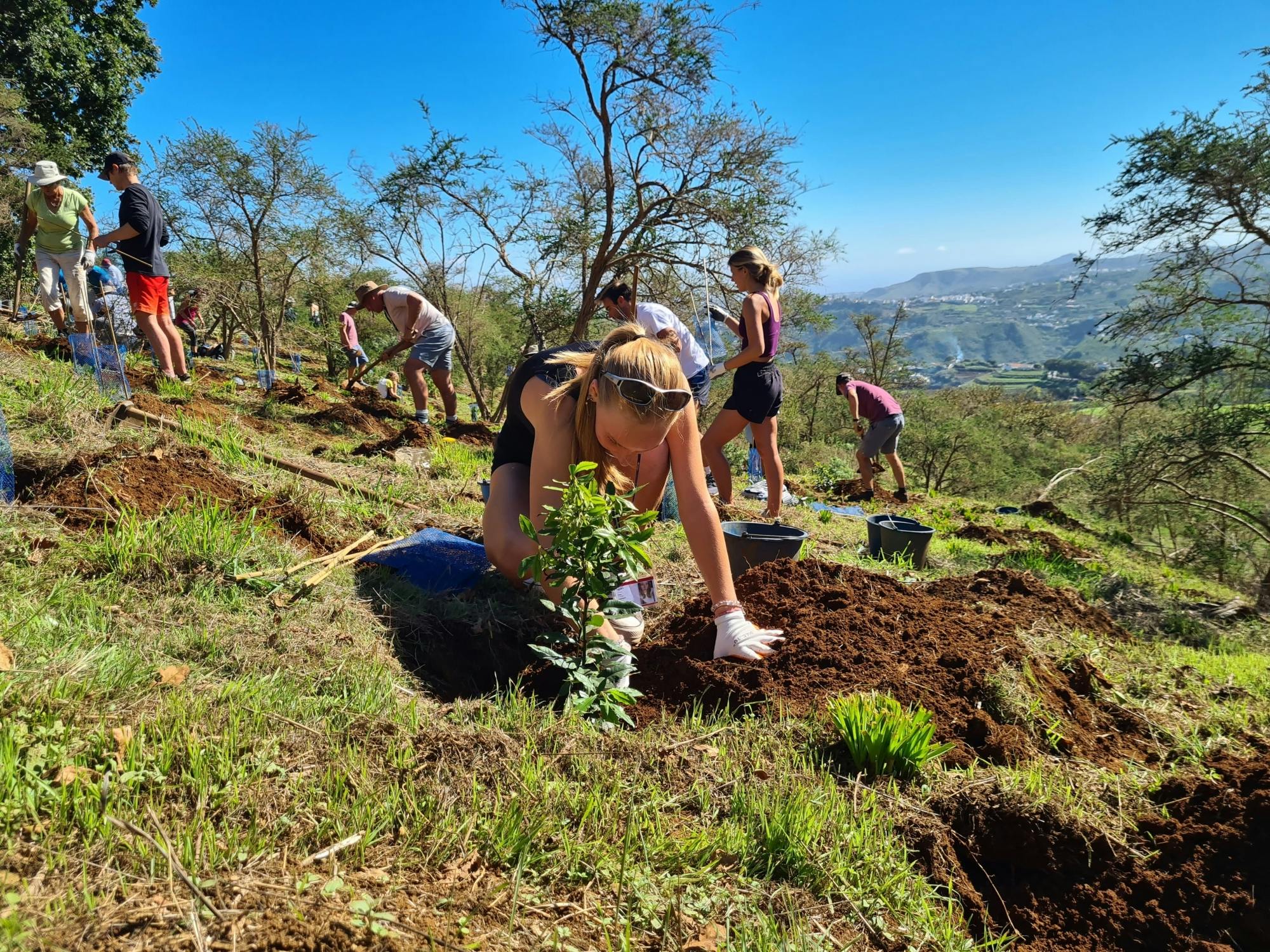 Gran Canaria Eco Tour with TUI Forest Visit and Lunch