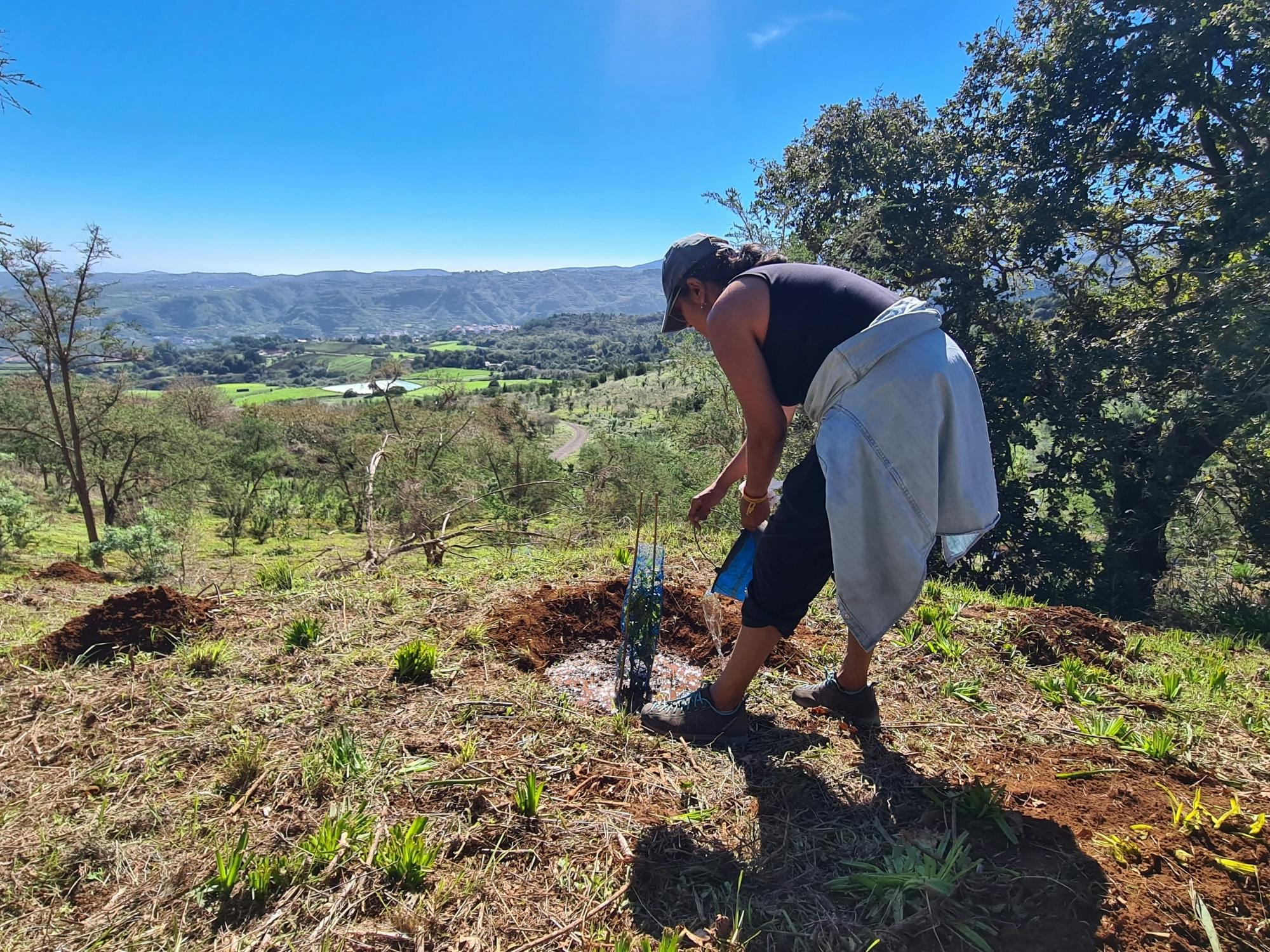 Gran Canaria Eco Tour with TUI Forest Visit and Lunch