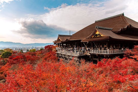 Full-Day Guided Tour of Kansai's Top Attractions