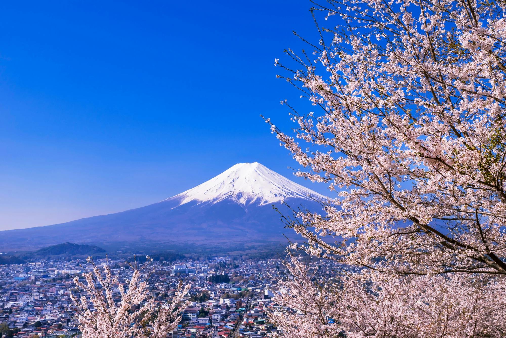 Mount Fuji and Oshino Hakkai Tour with Optional Hot Springs or Outlet