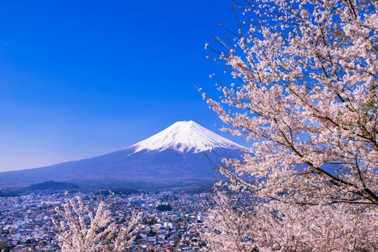 Mount Fuji en Oshino Hakkai-tour met optionele warmwaterbronnen of uitstroom