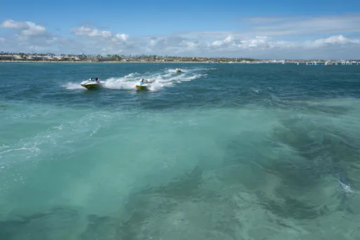 Punta Cana Catamaran Cruise with Snorkelling