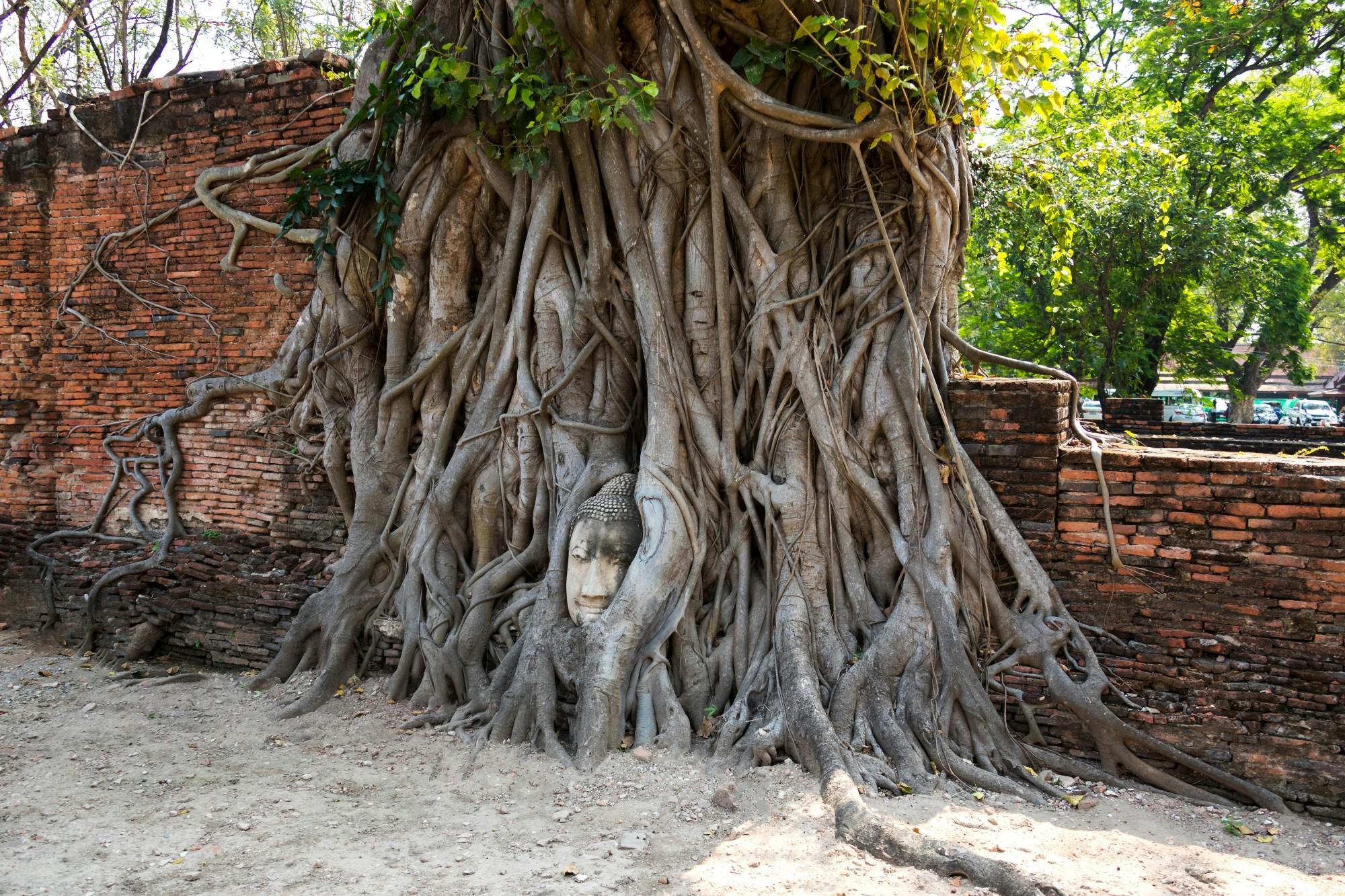 Ruins of Ayutthaya guided tour with river cruise