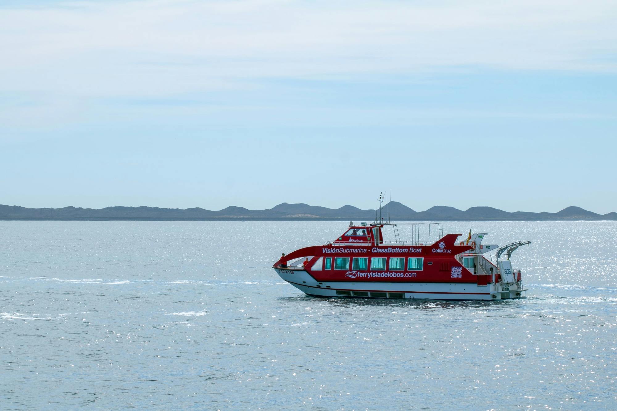 Dolphin Searching Cruise with transfer from Caleta de Fuste