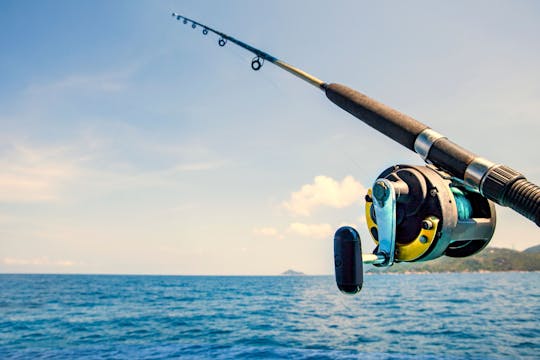 Paseo en barco de pesca