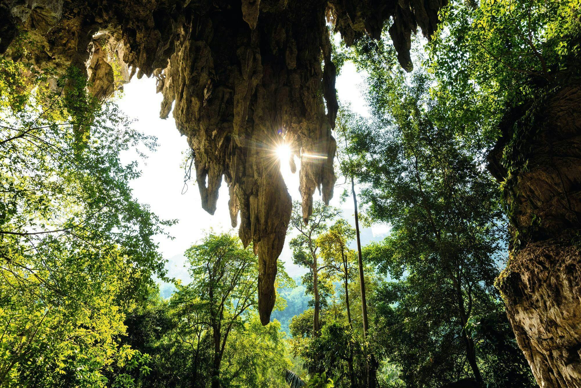 Khao Sok River Rafting with Elephant Sanctuary and Lunch